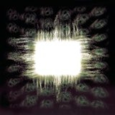 Tool Forty Six & 2 98550