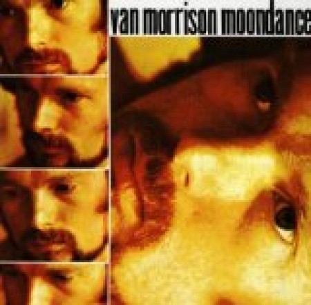 Van Morrison Moondance 253807