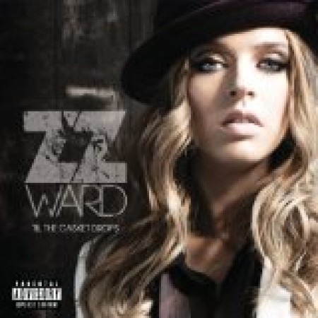 ZZ Ward Put The Gun Down 151665