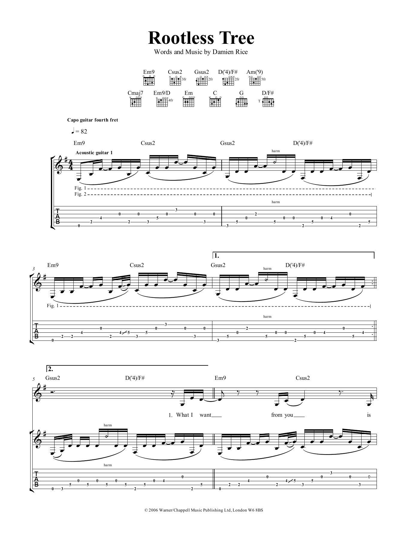Damien Rice Rootless Tree Sheet Music Notes & Chords for Guitar Tab - Download or Print PDF