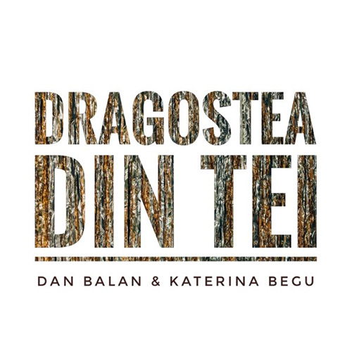 Dan Balan, Dragostea Din Tei, Piano & Vocal