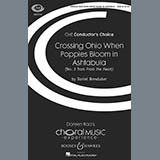 Download Daniel Brewbaker Crossing Ohio When Poppies Bloom In Ashtabula (No. 3 from 