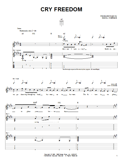 Dave Matthews & Tim Reynolds Cry Freedom Sheet Music Notes & Chords for Guitar Tab - Download or Print PDF