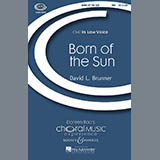 Download David Brunner Born Of The Sun sheet music and printable PDF music notes
