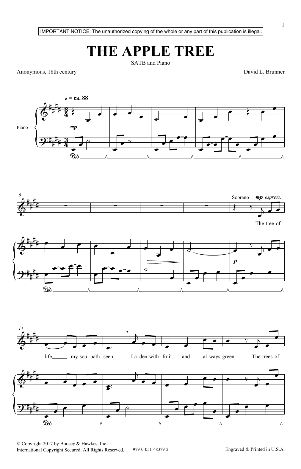 David Brunner The Apple Tree Sheet Music Notes & Chords for SATB - Download or Print PDF