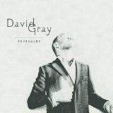 Download David Gray Forgetting sheet music and printable PDF music notes