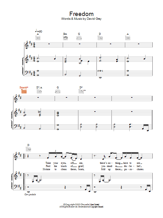 David Gray Freedom Sheet Music Notes & Chords for Piano, Vocal & Guitar (Right-Hand Melody) - Download or Print PDF