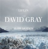 Download David Gray From Here You Can Almost See The Sea sheet music and printable PDF music notes