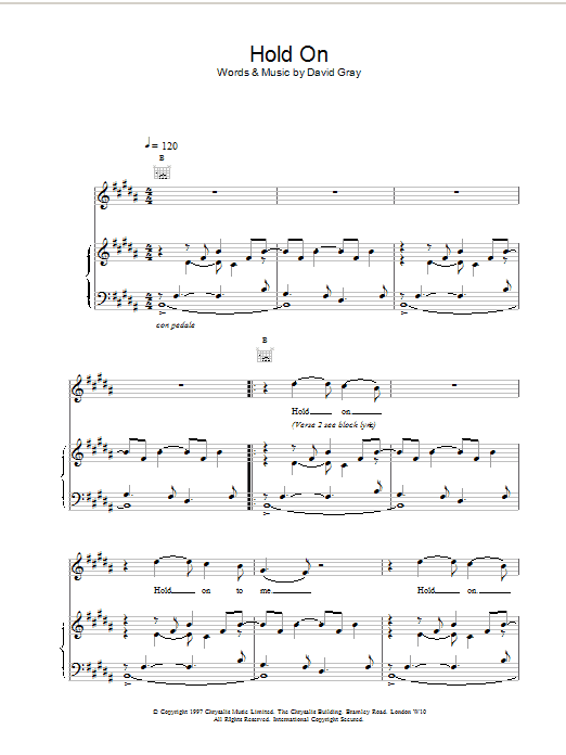 David Gray Hold On Sheet Music Notes & Chords for Piano, Vocal & Guitar - Download or Print PDF