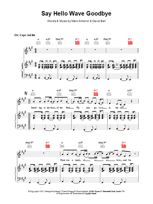 David Gray Say Hello, Wave Goodbye Sheet Music Notes & Chords for Piano, Vocal & Guitar - Download or Print PDF