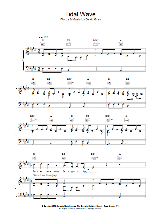 David Gray Tidal Wave Sheet Music Notes & Chords for Piano, Vocal & Guitar - Download or Print PDF