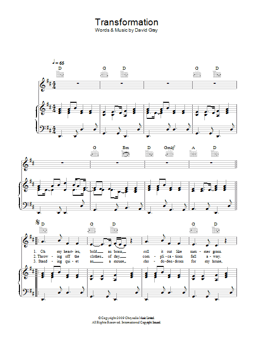 David Gray Transformation Sheet Music Notes & Chords for Piano, Vocal & Guitar - Download or Print PDF