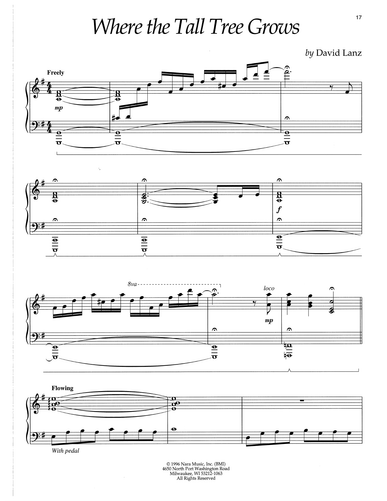 David Lanz Where The Tall Tree Grows Sheet Music Notes & Chords for Piano Solo - Download or Print PDF