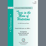 Download David Schmidt and Brady Schmidt 'Twas in the Moon of Wintertime sheet music and printable PDF music notes