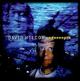 Download David Wilcox All My Life sheet music and printable PDF music notes