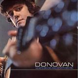 Download Donovan Catch The Wind sheet music and printable PDF music notes