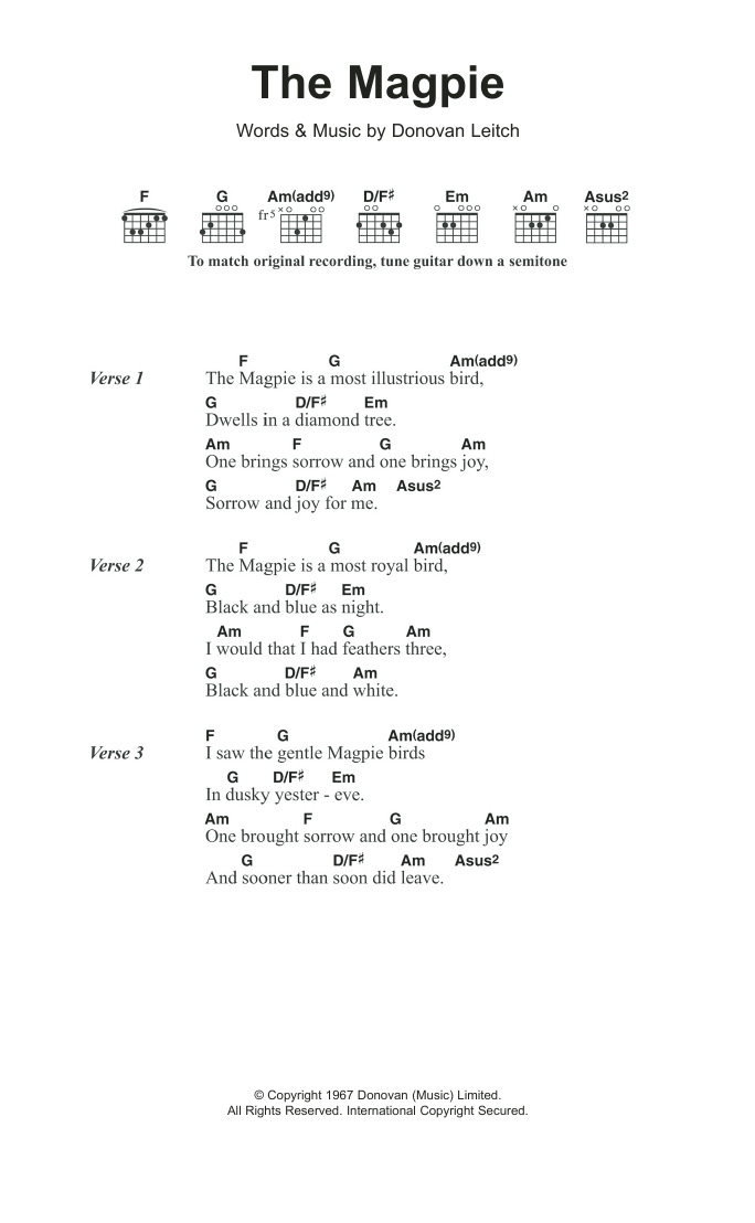 Donovan The Magpie Sheet Music Notes & Chords for Lyrics & Chords - Download or Print PDF