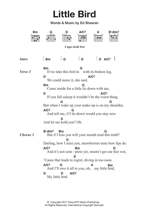 Ed Sheeran Little Bird Sheet Music Notes & Chords for Lyrics & Chords - Download or Print PDF