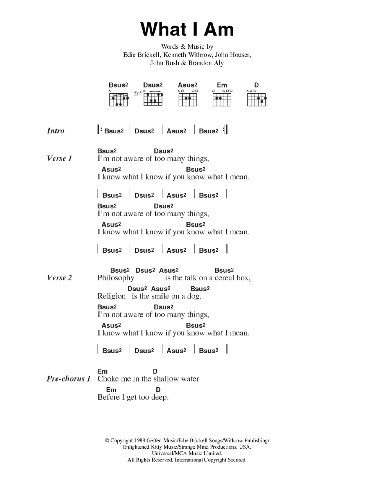 Edie Brickell What I Am Sheet Music Notes & Chords for Lyrics & Chords - Download or Print PDF