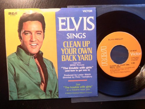 Elvis Presley, Clean Up Your Own Backyard, Lyrics & Chords
