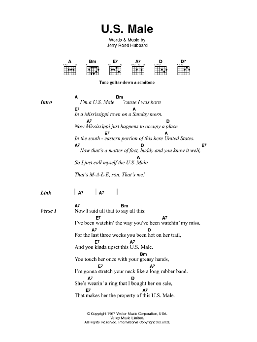 Elvis Presley U.S. Male Sheet Music Notes & Chords for Lyrics & Chords - Download or Print PDF