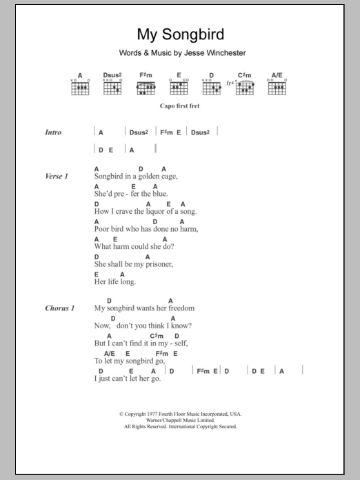 Emmylou Harris My Songbird Sheet Music Notes & Chords for Lyrics & Chords - Download or Print PDF