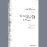 Download Eric Whitacre The Moon Is Hiding In Her Hair (from The City And The Sea) sheet music and printable PDF music notes