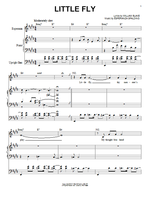 Esperanza Spalding Little Fly Sheet Music Notes & Chords for Piano & Vocal - Download or Print PDF