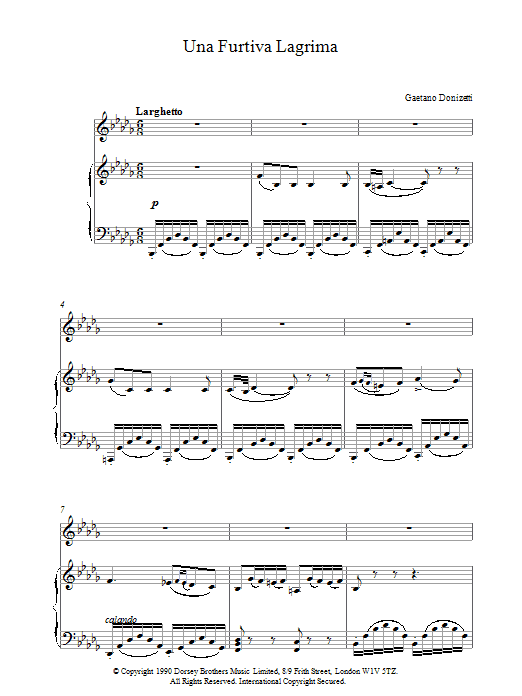 Gaetano Donizetti Una Furtiva Lagrima Sheet Music Notes & Chords for Piano & Vocal - Download or Print PDF