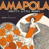 Download Gary Meisner Amapola (Pretty Little Poppy) sheet music and printable PDF music notes