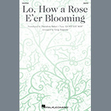 Download Greg Jasperse Lo, How A Rose E'er Blooming sheet music and printable PDF music notes