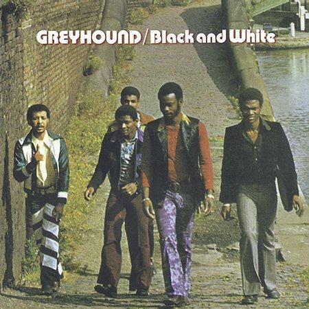 Greyhound, Black And White, Lyrics & Chords