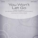 Download Michael W. Smith You Won't Let Go (arr. Harold Ross) sheet music and printable PDF music notes