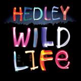 Download Hedley Pocket Full Of Dreams sheet music and printable PDF music notes