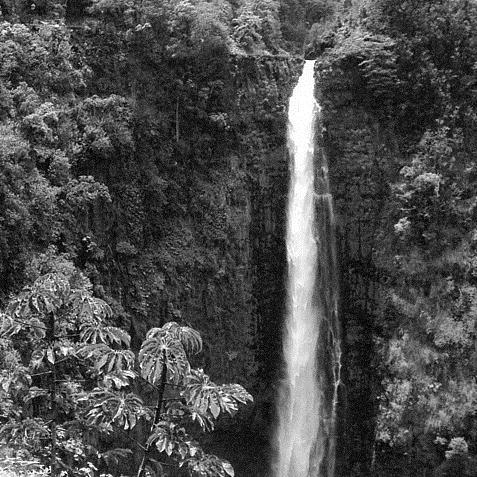 Helen Parker, Akaka Falls, Ukulele