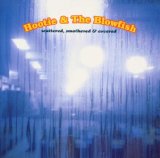 Download Hootie & The Blowfish I Go Blind sheet music and printable PDF music notes