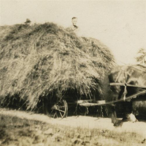 Howard Barnes, A Load Of Hay, Piano, Vocal & Guitar (Right-Hand Melody)