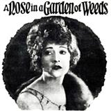 Download Hubert W. David A Rose In A Garden Of Weeds sheet music and printable PDF music notes