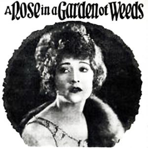 Hubert W. David Hubert W. David, A Rose In A Garden Of Weeds, Piano, Vocal & Guitar (Right-Hand Melody)