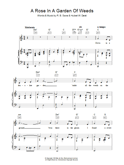 Preview Hubert W. David A Rose In A Garden Of Weeds Pop sheet music, notes and chords for Piano, Vocal & Guitar (Right-Hand Melody), SKU: 37023 A Rose In A Garden Of Weeds sheet music