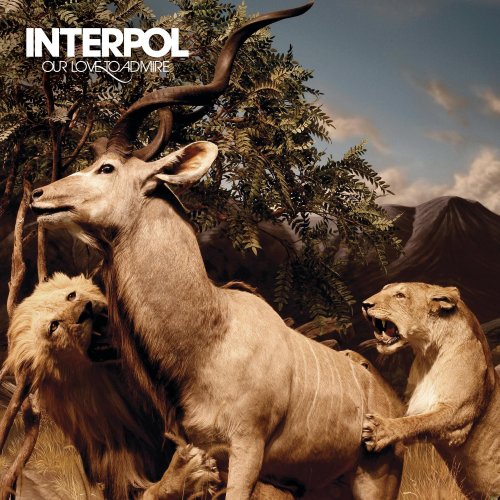 Interpol, All Fired Up, Guitar Tab