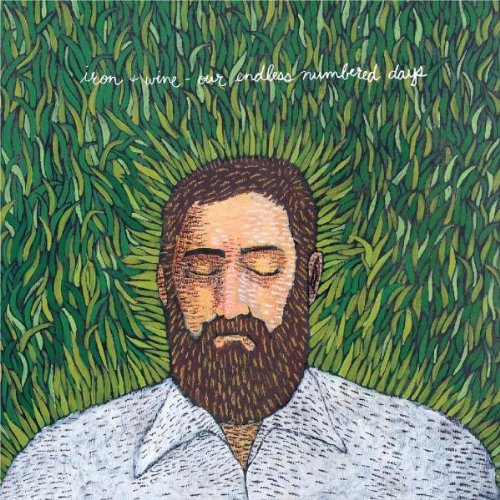 Iron & Wine, Each Coming Night, Easy Guitar