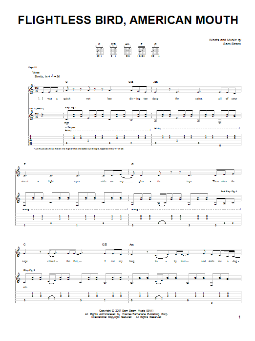 Iron & Wine Flightless Bird, American Mouth Sheet Music Notes & Chords for Lyrics & Chords - Download or Print PDF