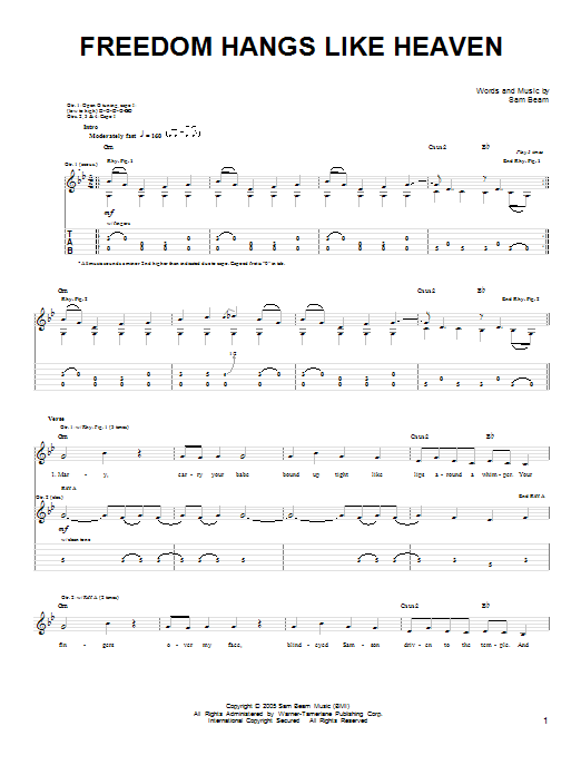 Iron & Wine Freedom Hangs Like Heaven Sheet Music Notes & Chords for Easy Guitar - Download or Print PDF