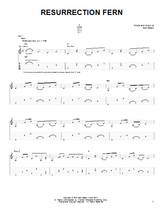 Iron & Wine Resurrection Fern Sheet Music Notes & Chords for Easy Guitar - Download or Print PDF