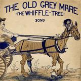 Download J. Warner The Old Gray Mare sheet music and printable PDF music notes