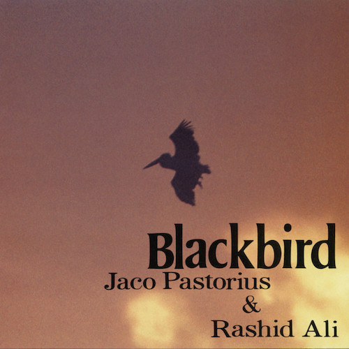 Jaco Pastorius & Rashid Ali, Slang, Bass Guitar Tab