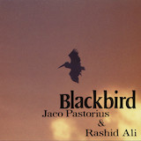 Download Jaco Pastorius & Rashid Ali Slang sheet music and printable PDF music notes