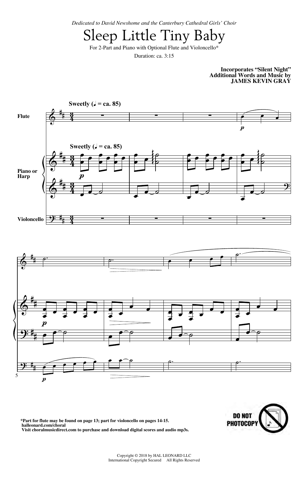James Kevin Gray Sleep Little Tiny Baby Sheet Music Notes & Chords for 2-Part Choir - Download or Print PDF