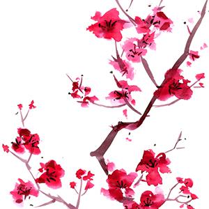 Japanese Folksong Japanese Folksong, Sakura (Cherry Blossoms), Piano (Big Notes)